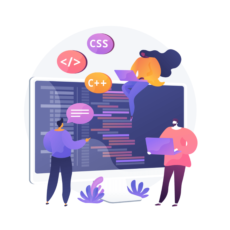 Custom Web Development